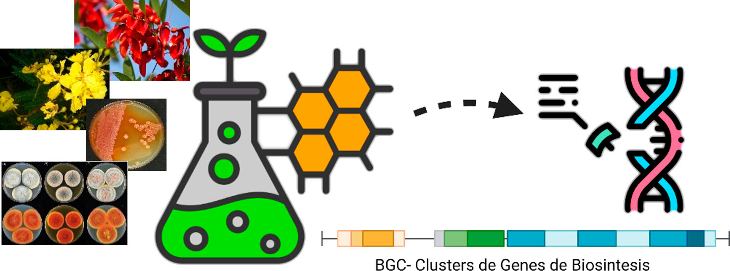 Estudio de recursos genéticos nativos con potencial aplicación